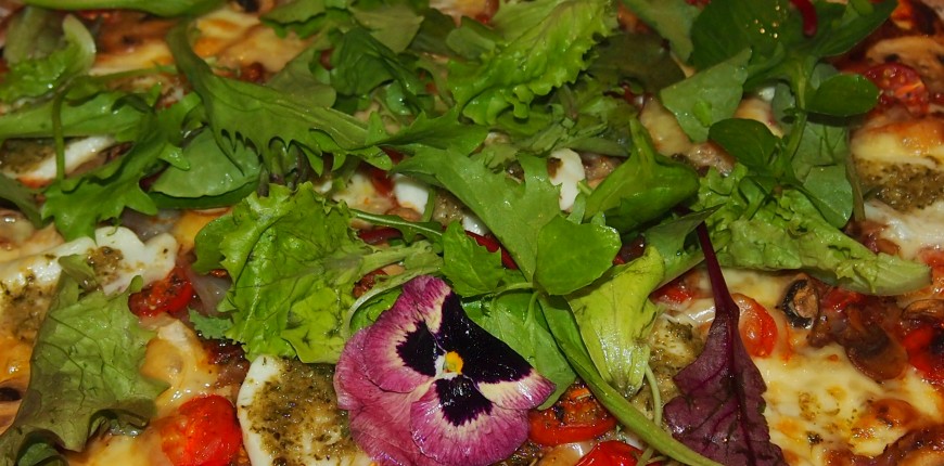Pâte à Pizza Fine