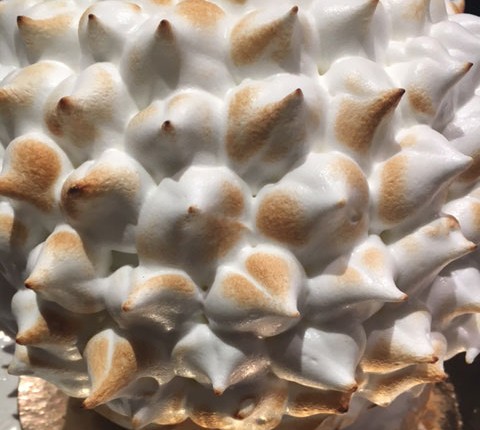 Alaska Bombe pécan chocolat