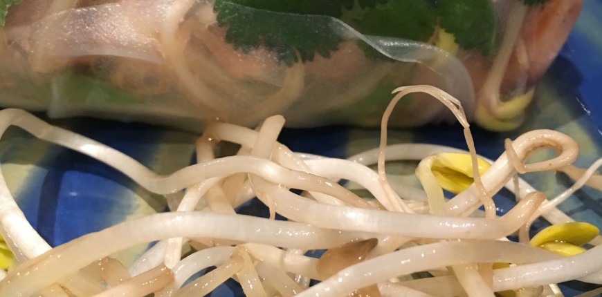 Rouleaux de printemps au saumon