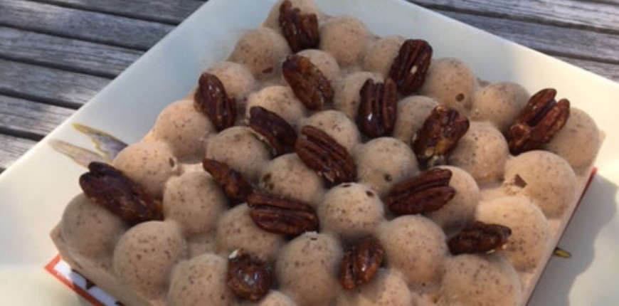 Glace praliné noix de pécan, Pecan ice cream