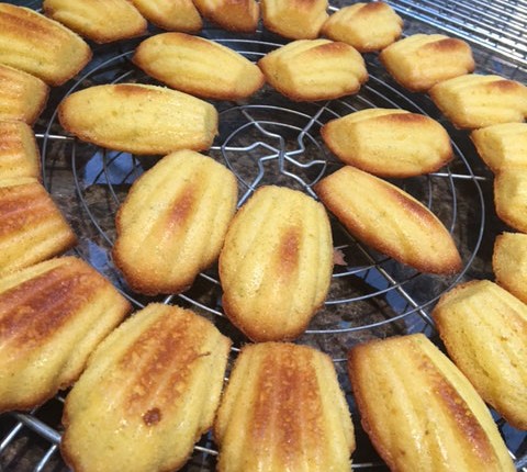 Madeleines vanille et citron vert de Conticini