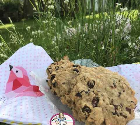Cookies raisins secs, pécan, flocons d’avoine selon Laura Todd