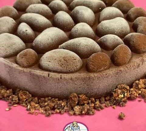 Sorbet chocolat comme une glace