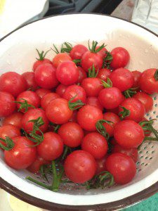 Tomates cerises