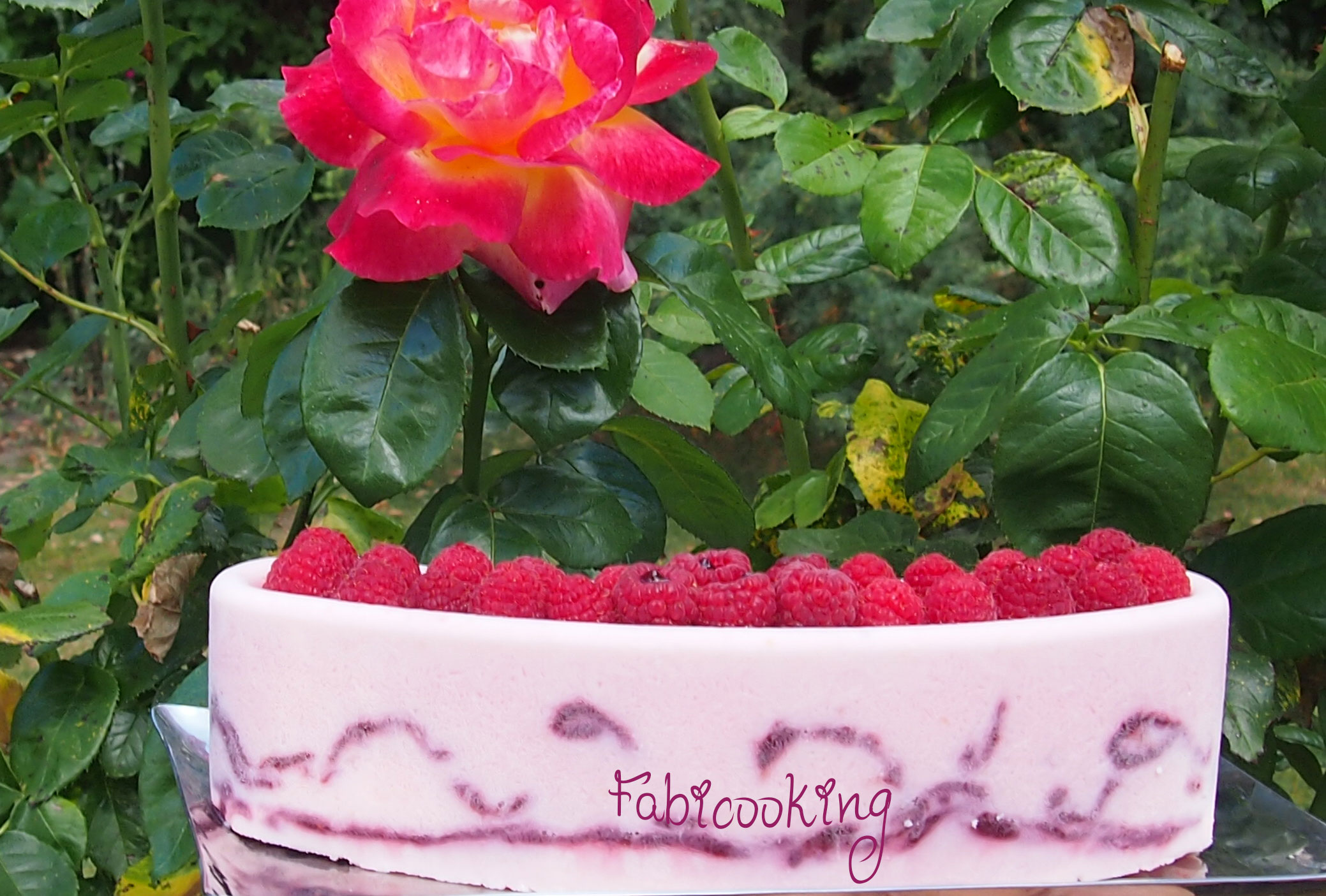 Glace-rose-lytchee-framboise4