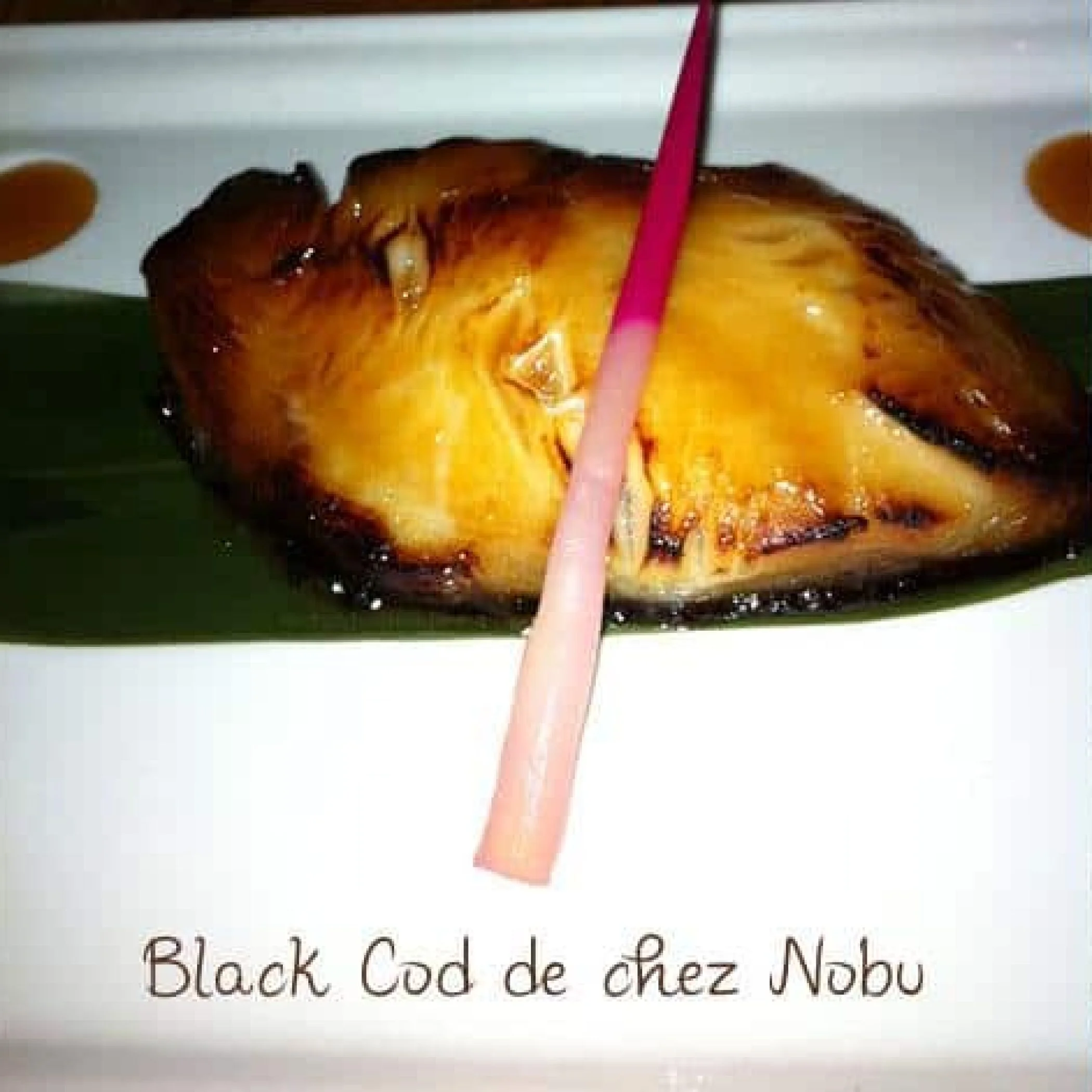 Black-cod1