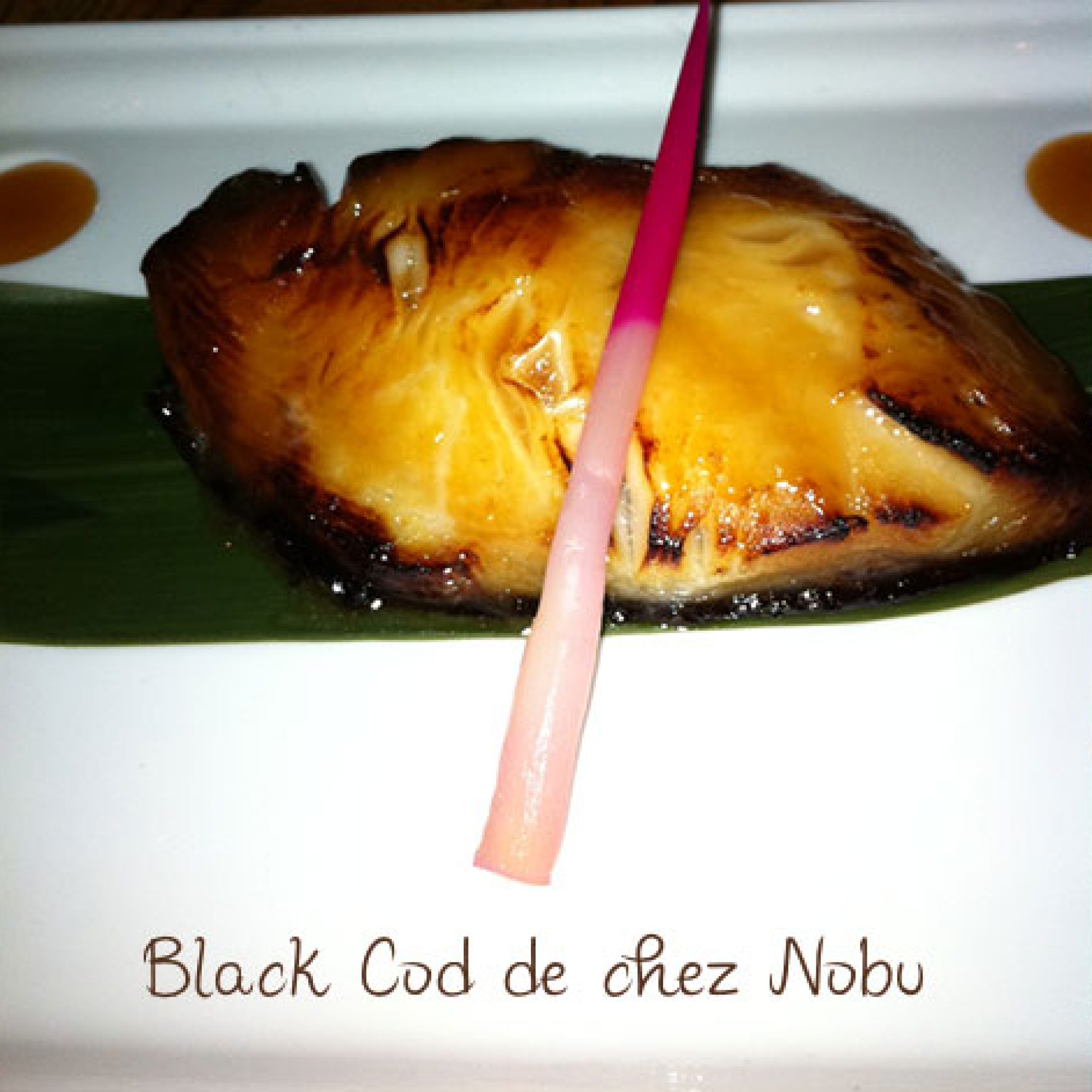 Black-cod1 Black-cod1