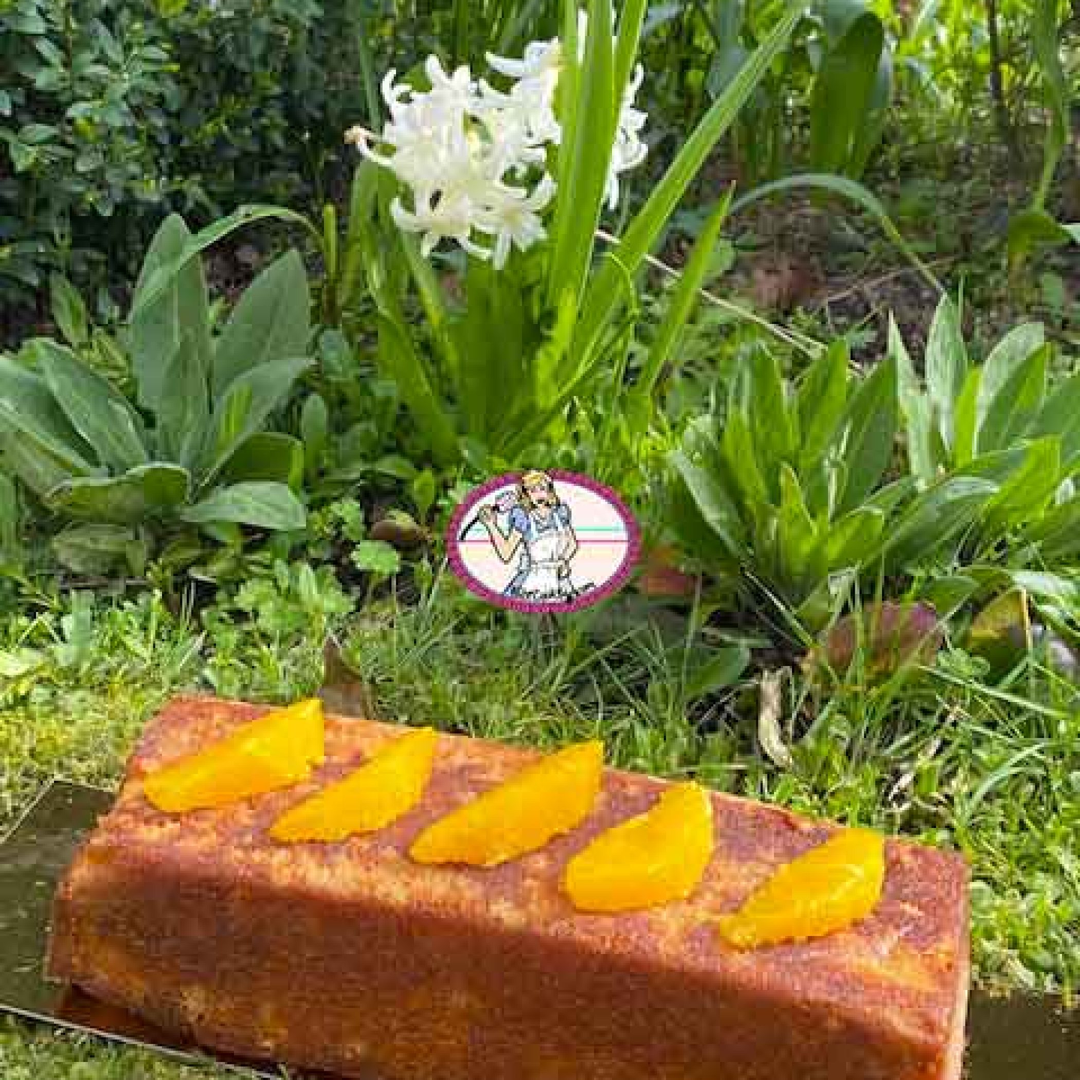 Cake à l'orange