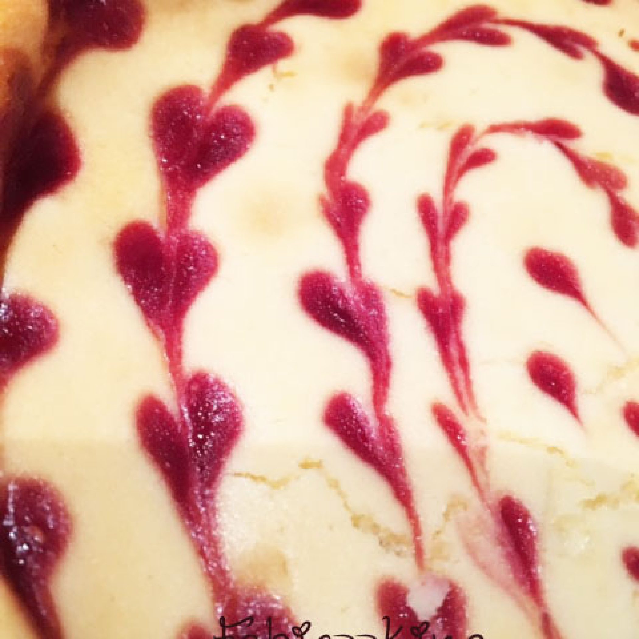 Cheesecake-chocolat-blanc-framboise3