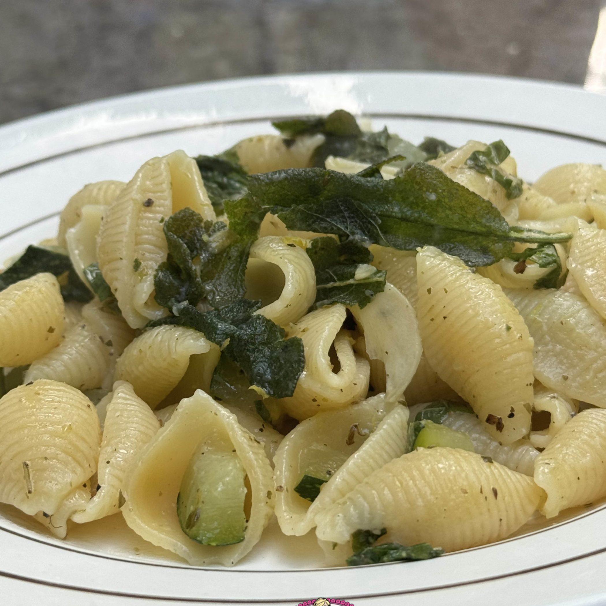 Conchiglie sauge7