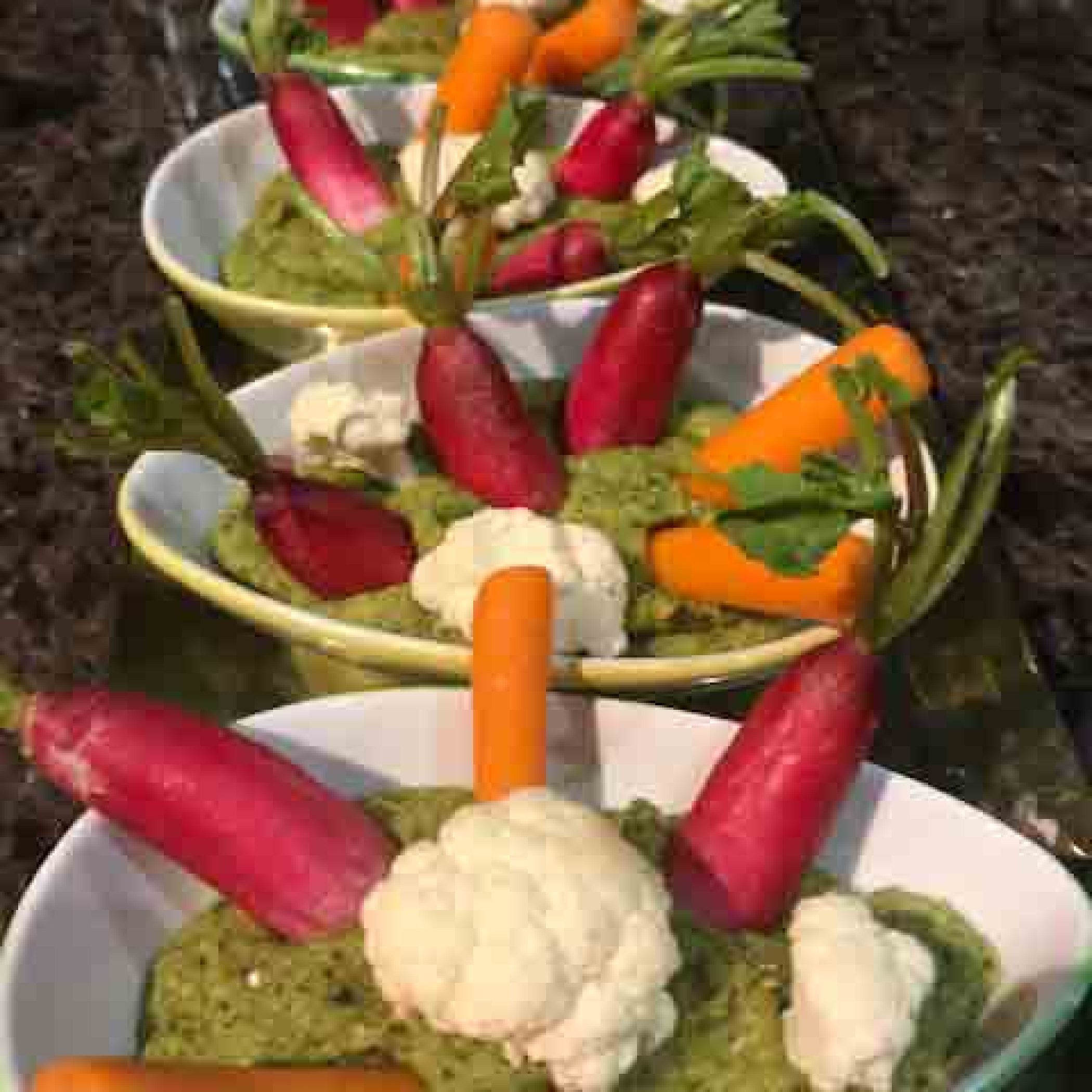 Dip aux fèves et fromage frais de chèvre