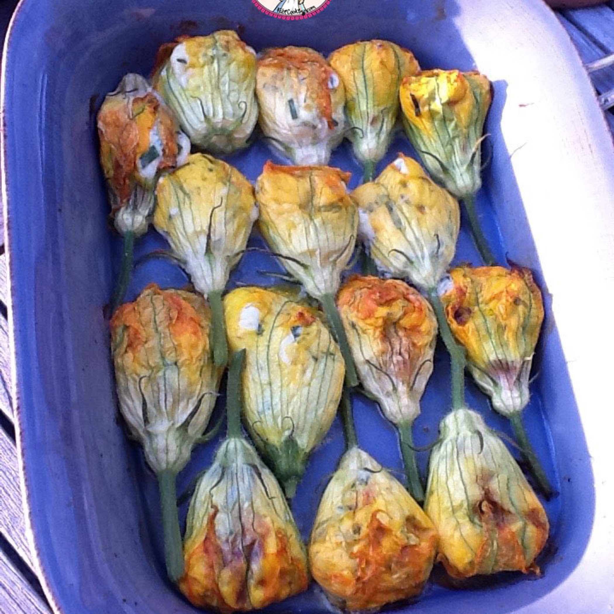 Fleurs-de-courgettes