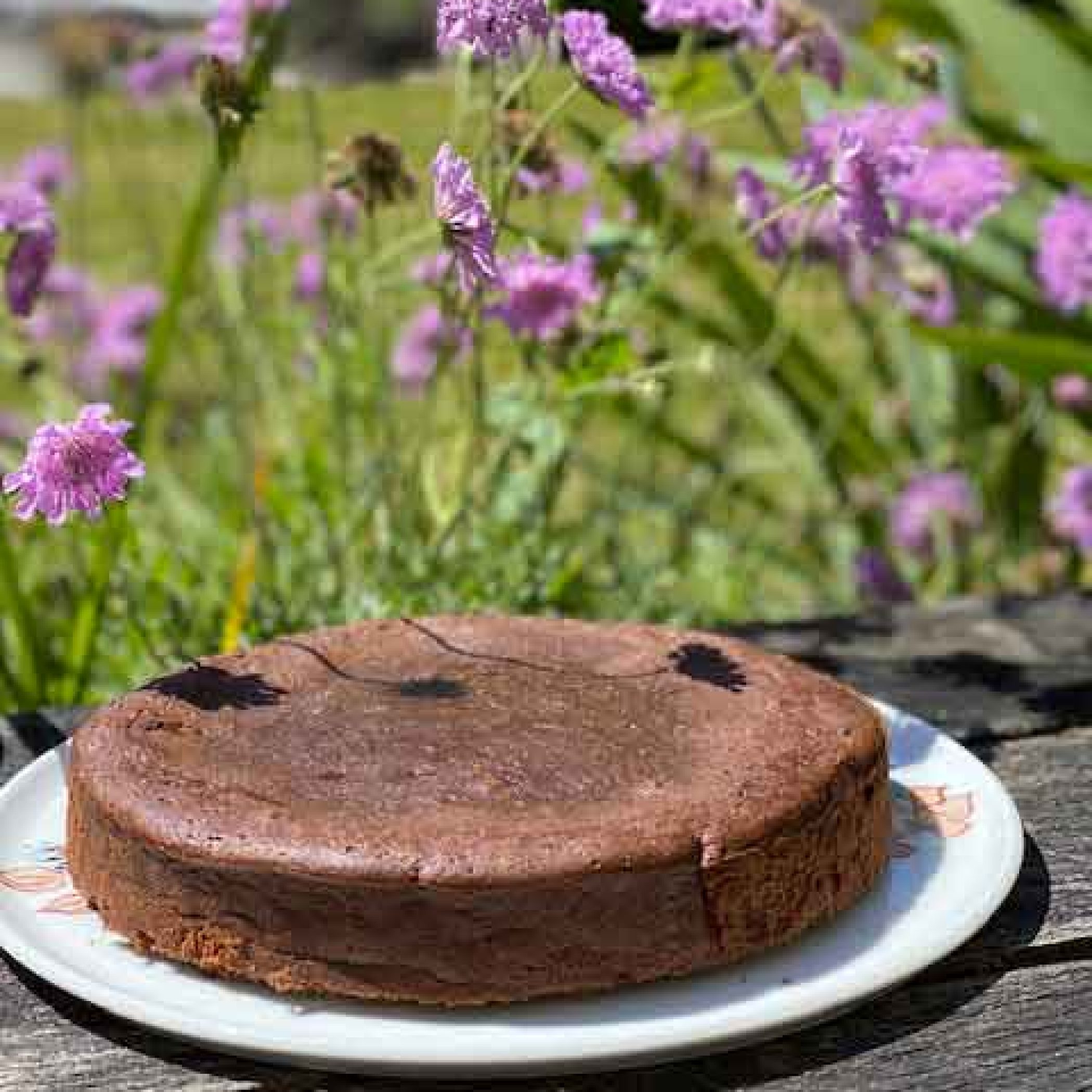 Le gâteau au chocolat d'après Suzy Palatin