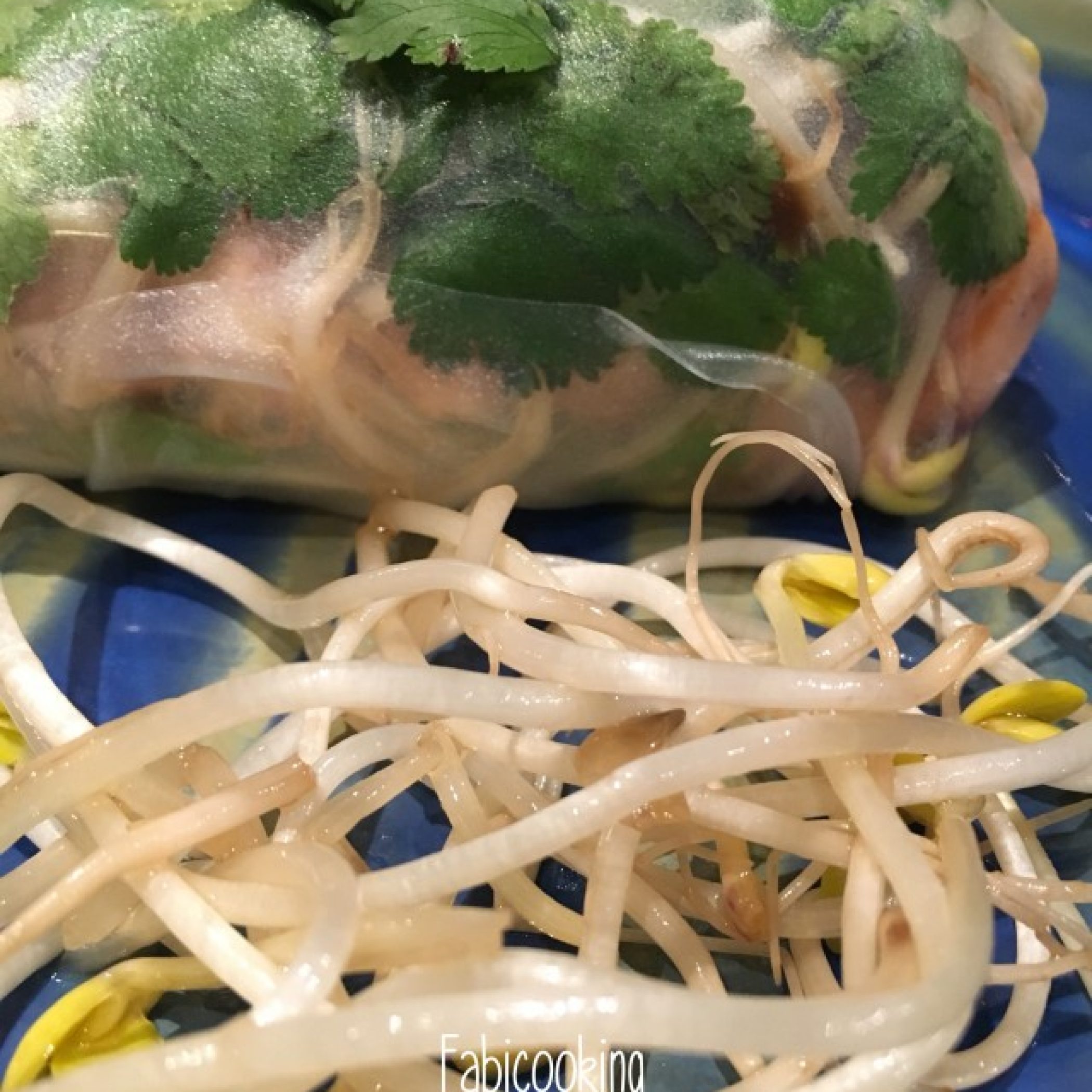 Rouleau de printemps au saumon