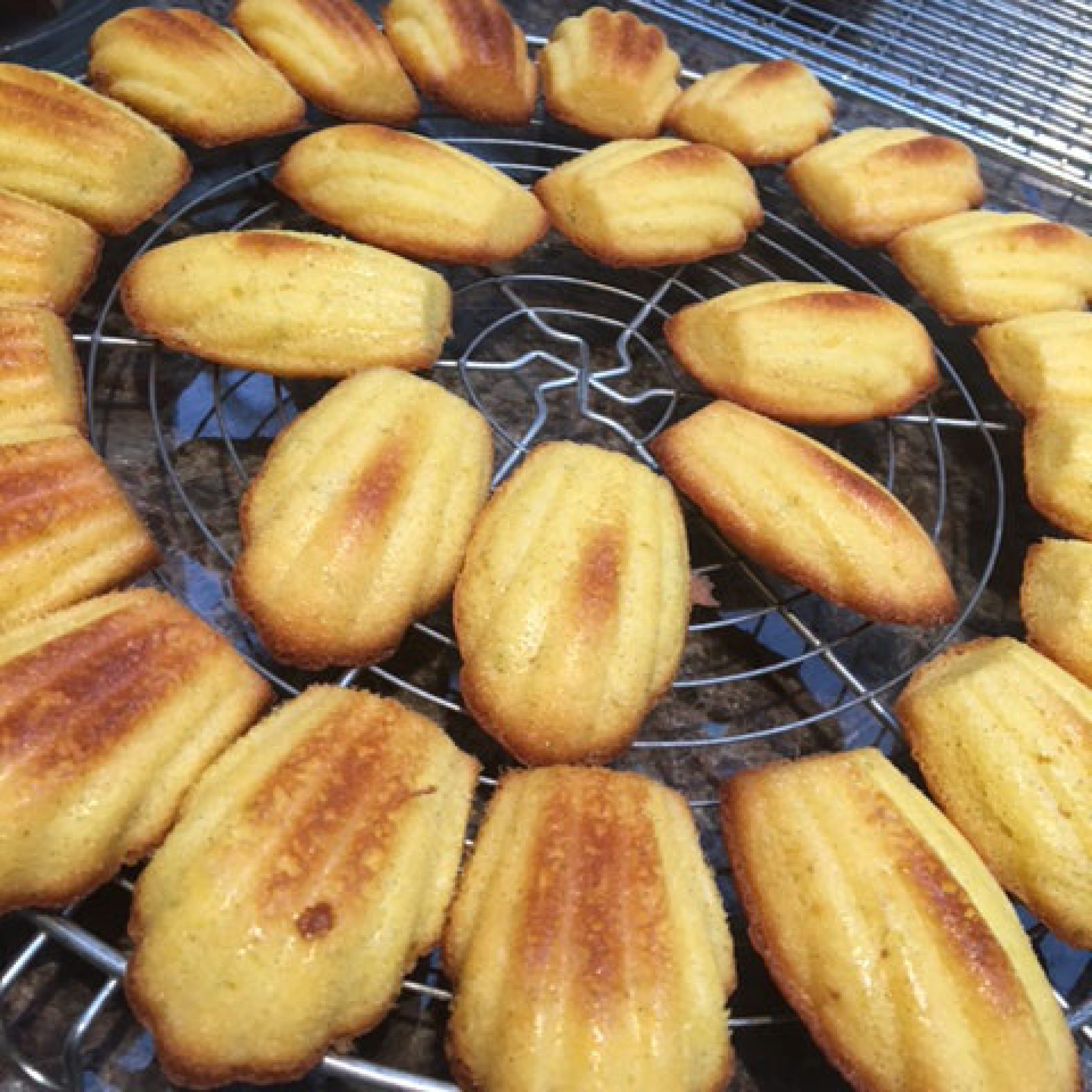 Madeleines-citron-vanille-Conticini