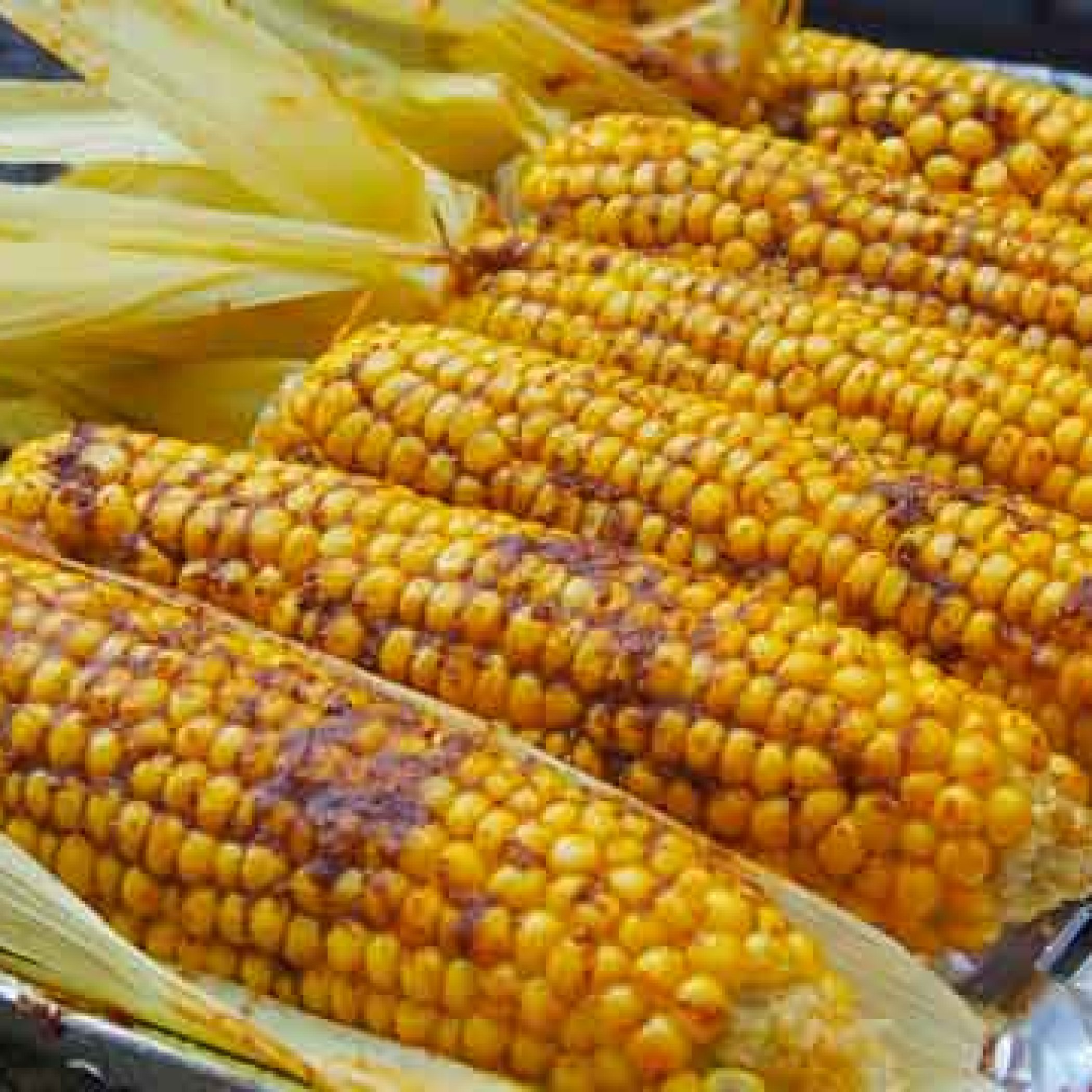 Maïs à la Mexicaine