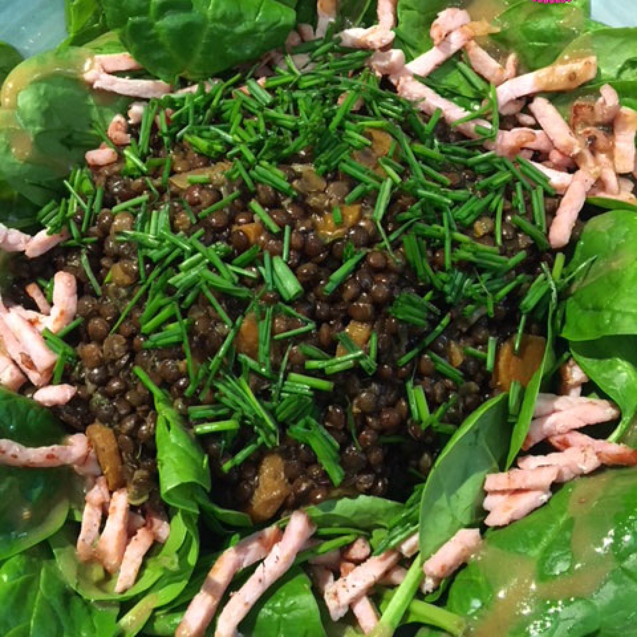 Salade lentilles pousses d'épinard