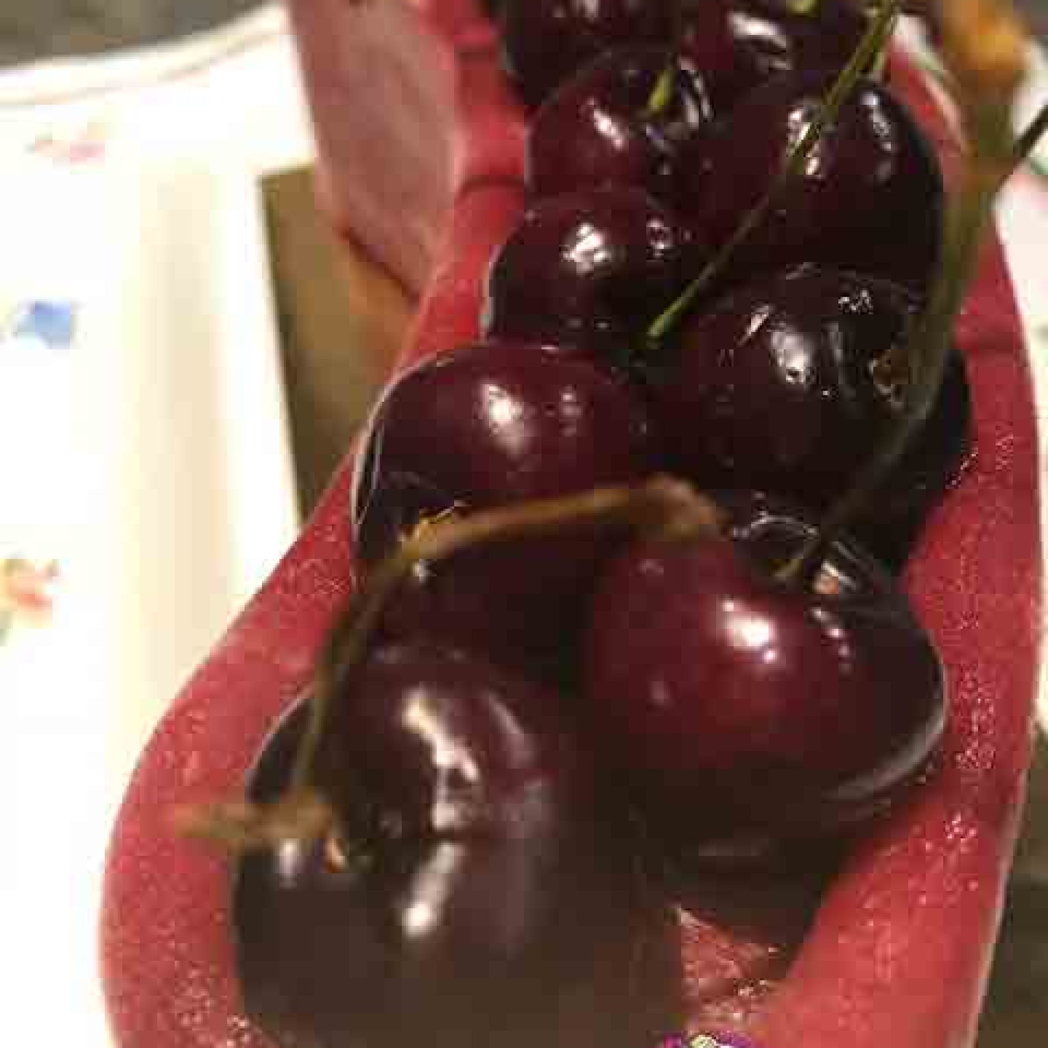 Sorbet fruits rouges