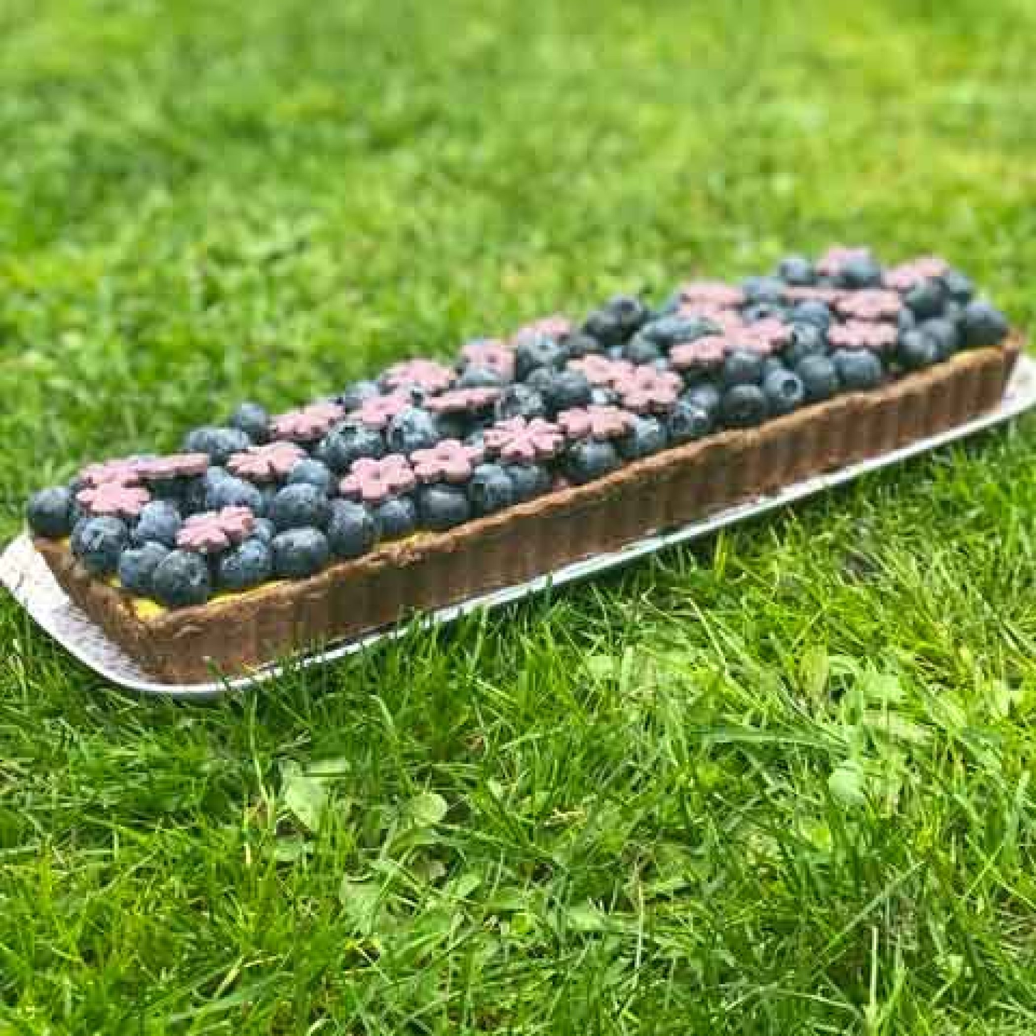 Tarte aux myrtilles