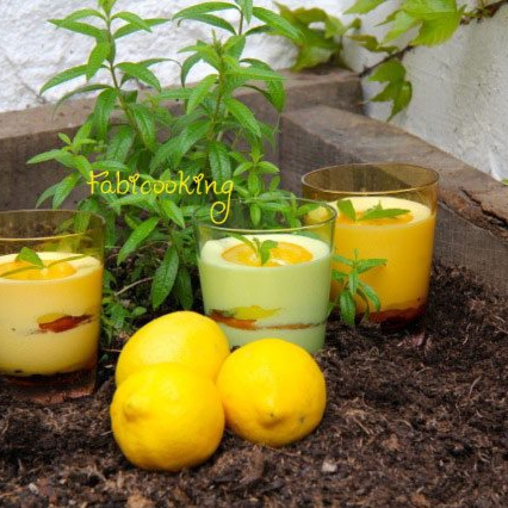 Tiramisu-verveine-citron2